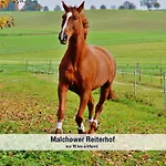 Wohlfuehlparadies Max, - Strandnah Am Plauer Mit Wlan Und Parkplatz * Stuer