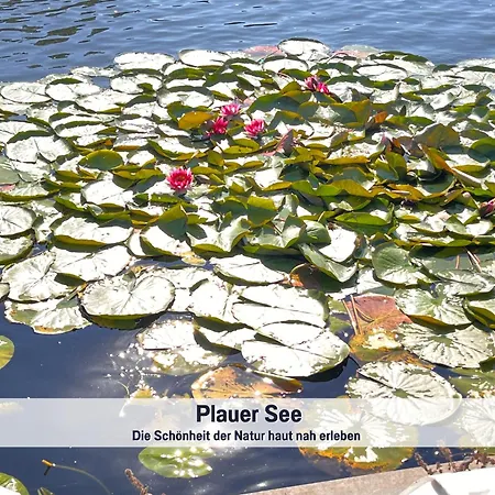 בית נופש Wohlfuehlparadies Max, - Strandnah Am Plauer Mit Wlan Und Parkplatz