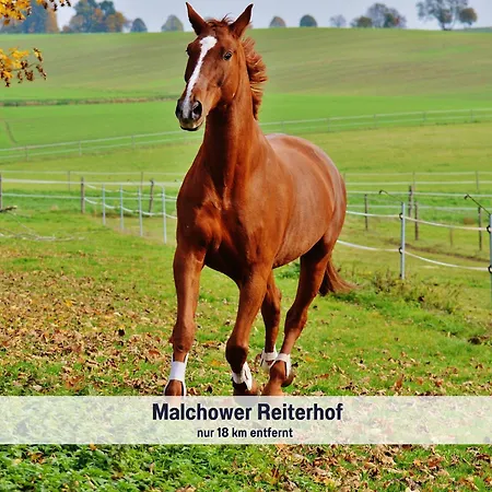 Wohlfuehlparadies Max, - Strandnah Am Plauer Mit Wlan Und Parkplatz * Stuer