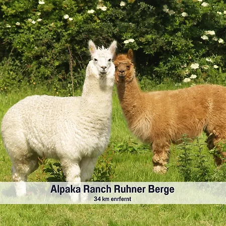 Wohlfuehlparadies Max, - Strandnah Am Plauer Mit Wlan Und Parkplatz בית נופש *