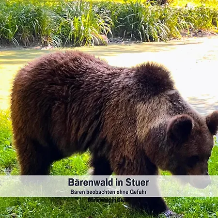 Wohlfuehlparadies Max, - Strandnah Am Plauer Mit Wlan Und Parkplatz *